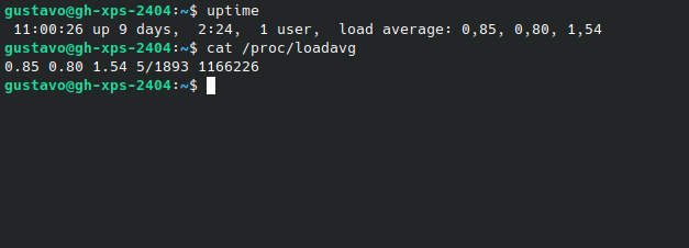 load average terminal